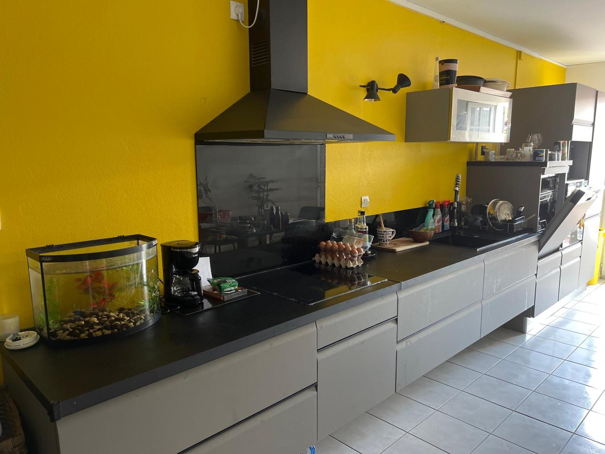Appart Coeur De Rhum Apartman Pointe-à-Pitre Kültér fotó
