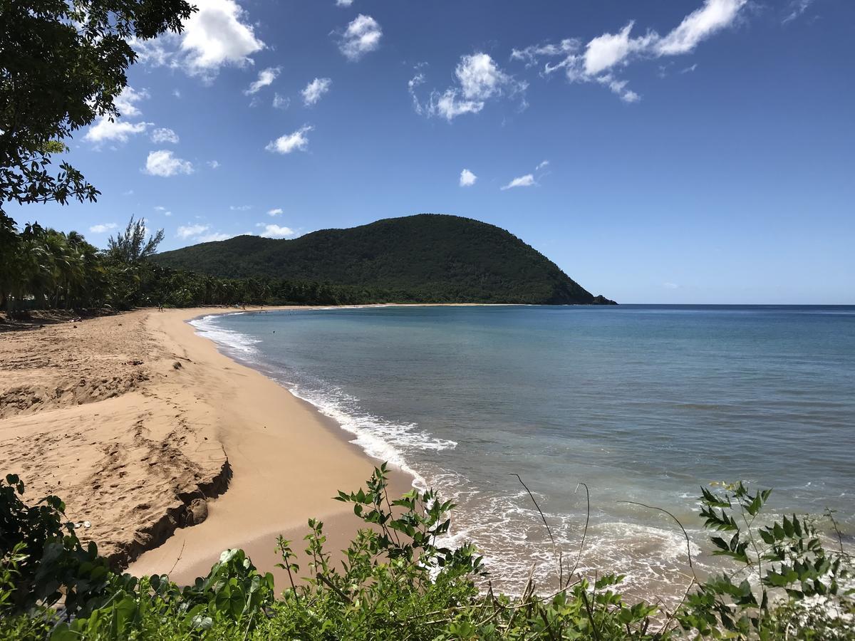 Appart Coeur De Rhum Apartman Pointe-à-Pitre Kültér fotó
